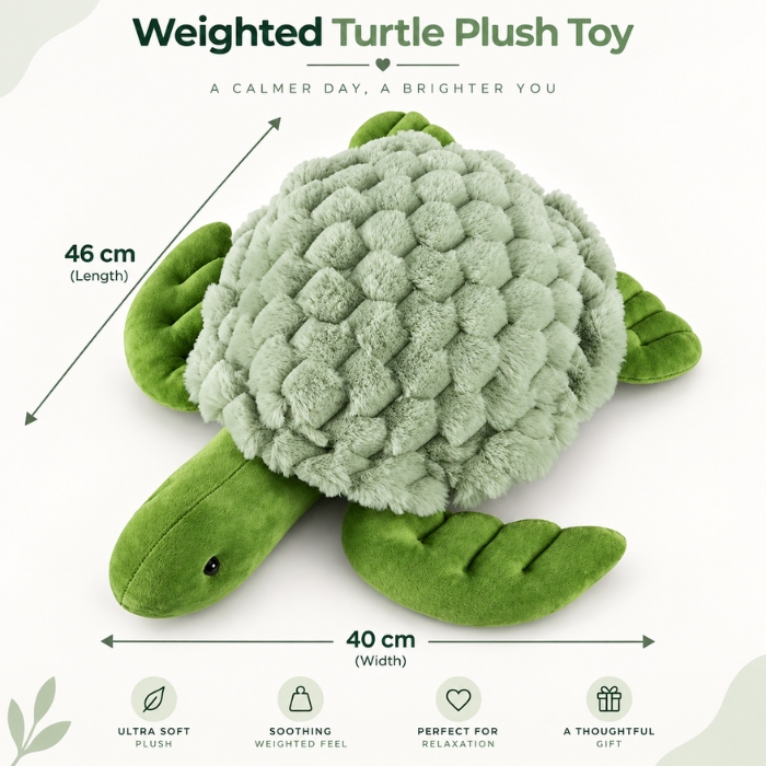 Playlearn Weighted Turtle