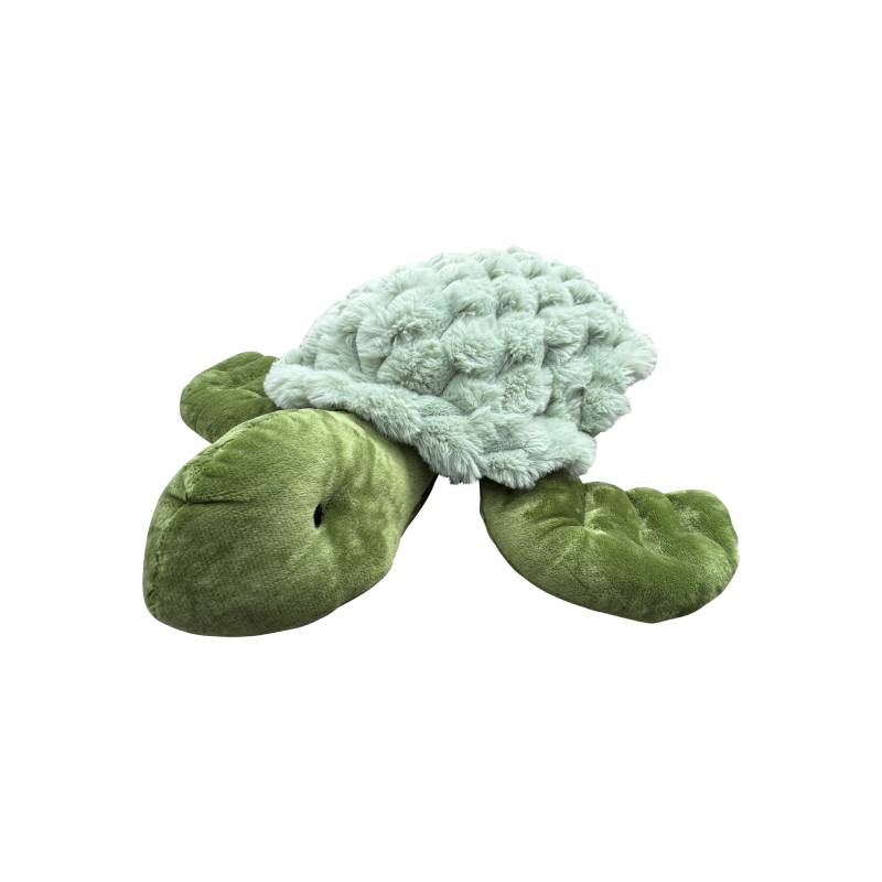 Playlearn Weighted Turtle