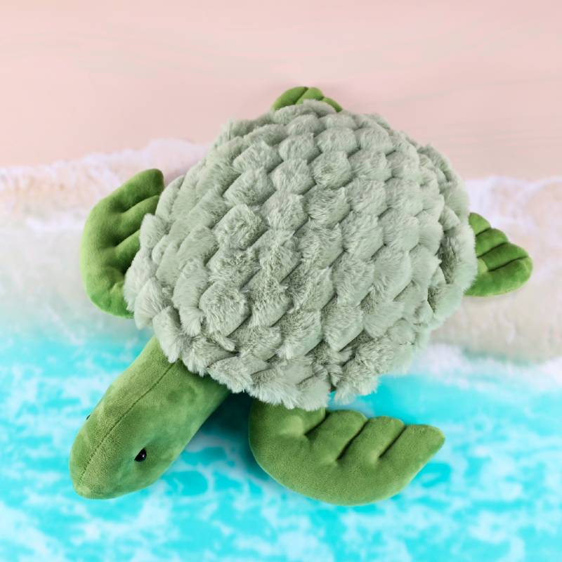 Playlearn Weighted Turtle