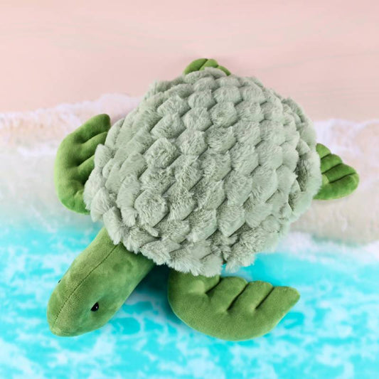 Playlearn Weighted Turtle