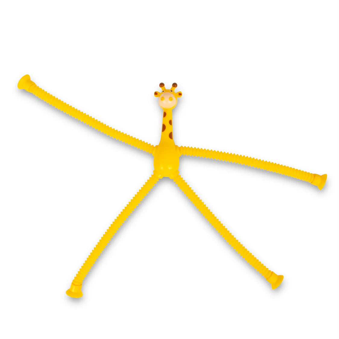 Animal Pop Tube