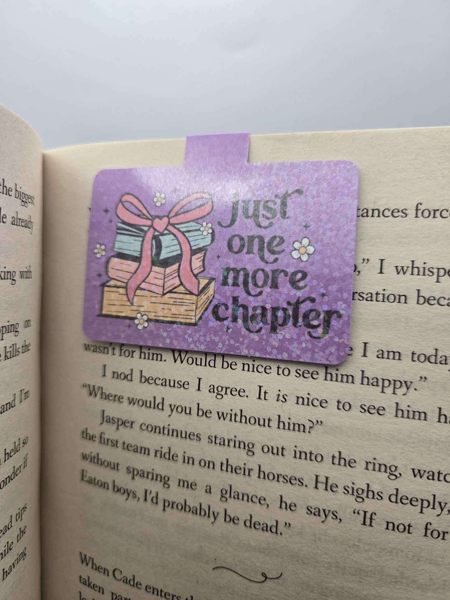 Magnetic Bookmark - One More Chapter and Don't Ask