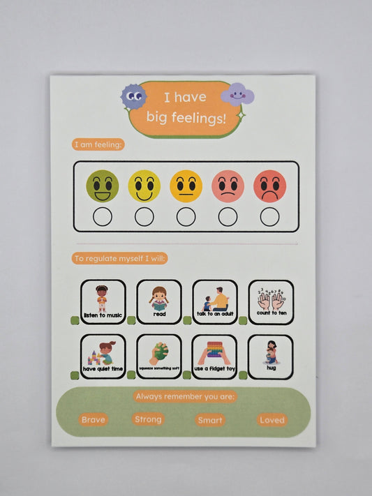 Big Feelings A6 Notepad